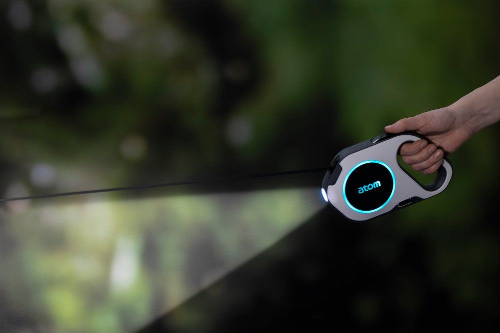 PET LEASH