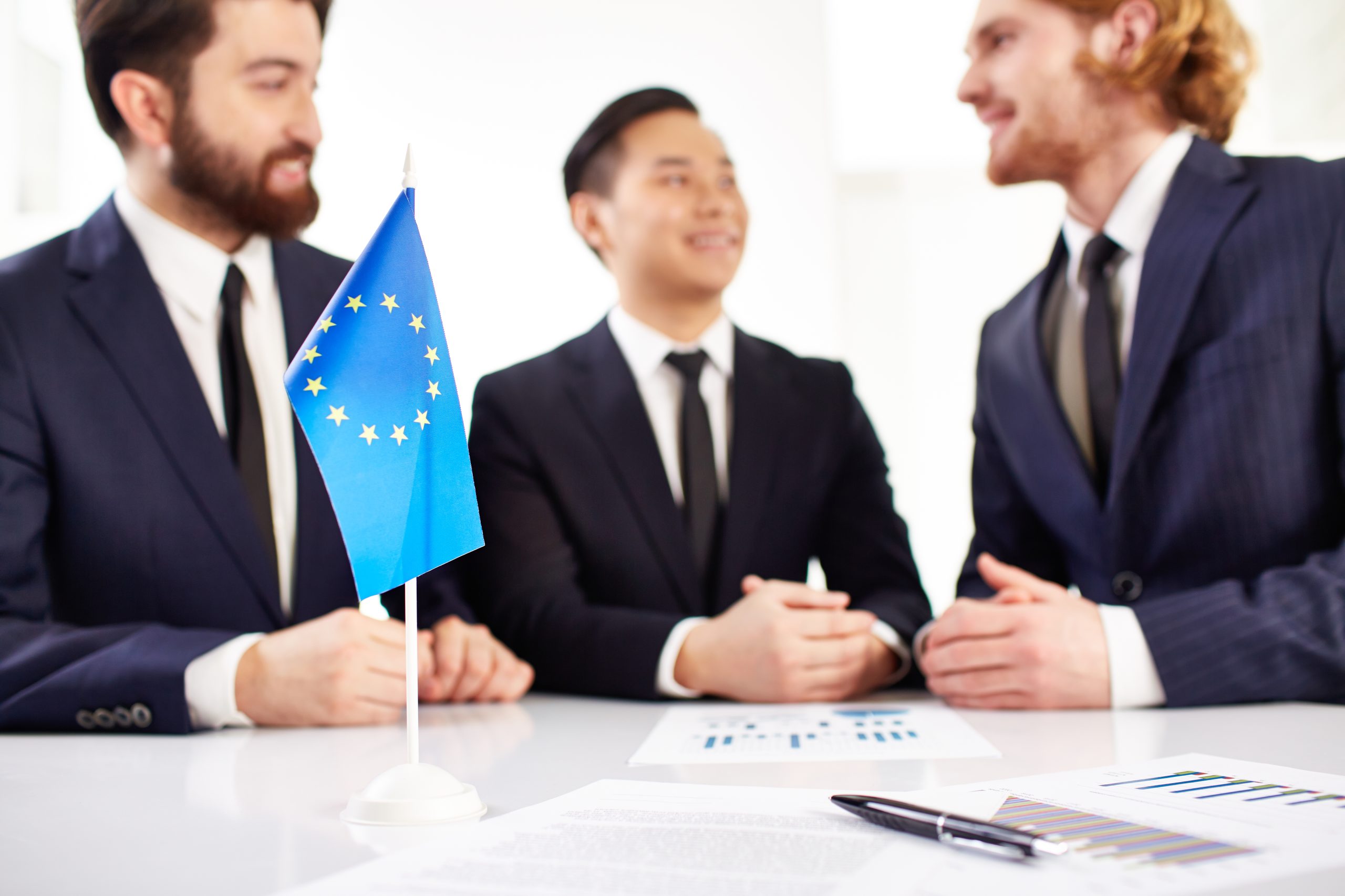 Professional Translation & Polish